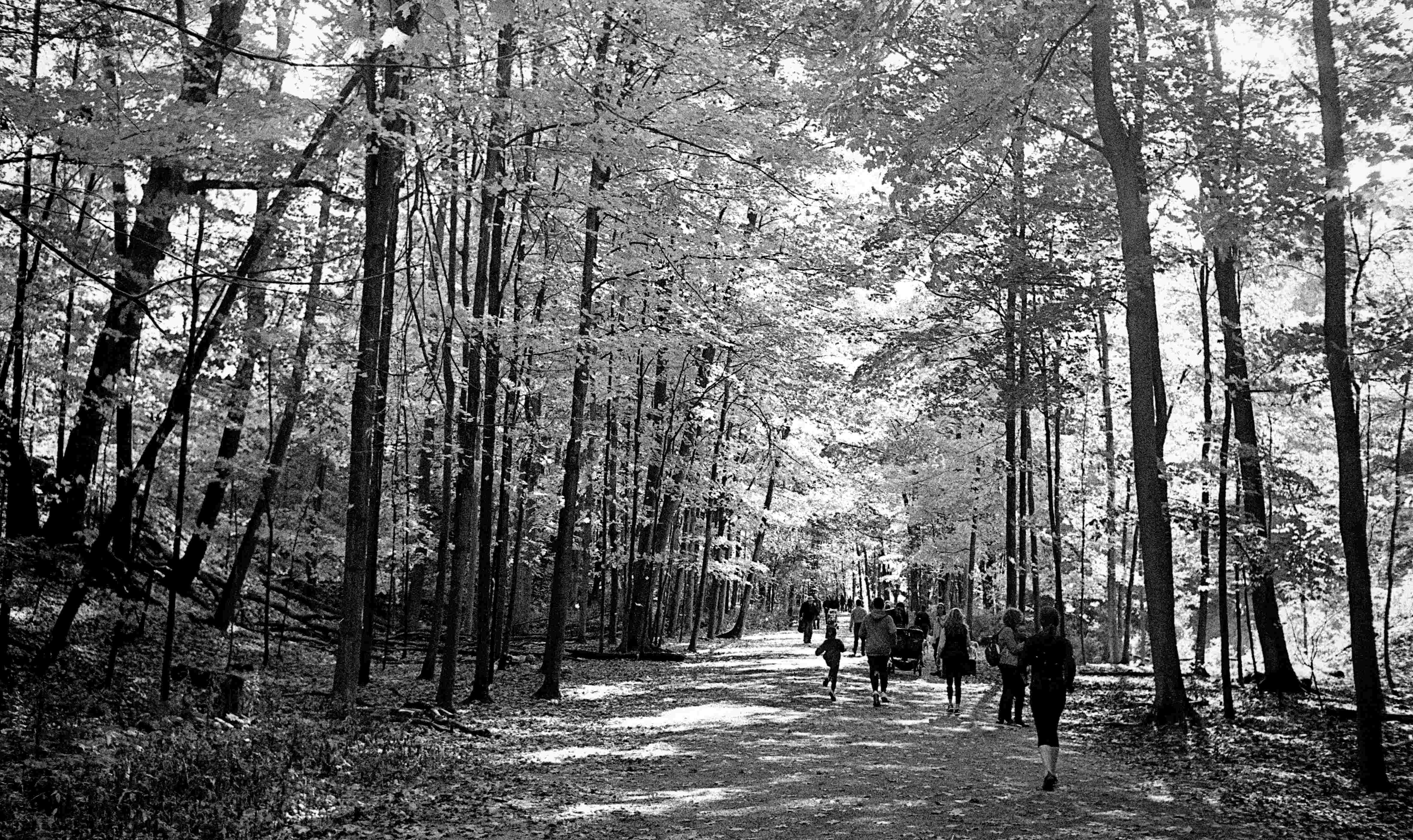 There Is No Such Thing As Bad Light – StreetShooters